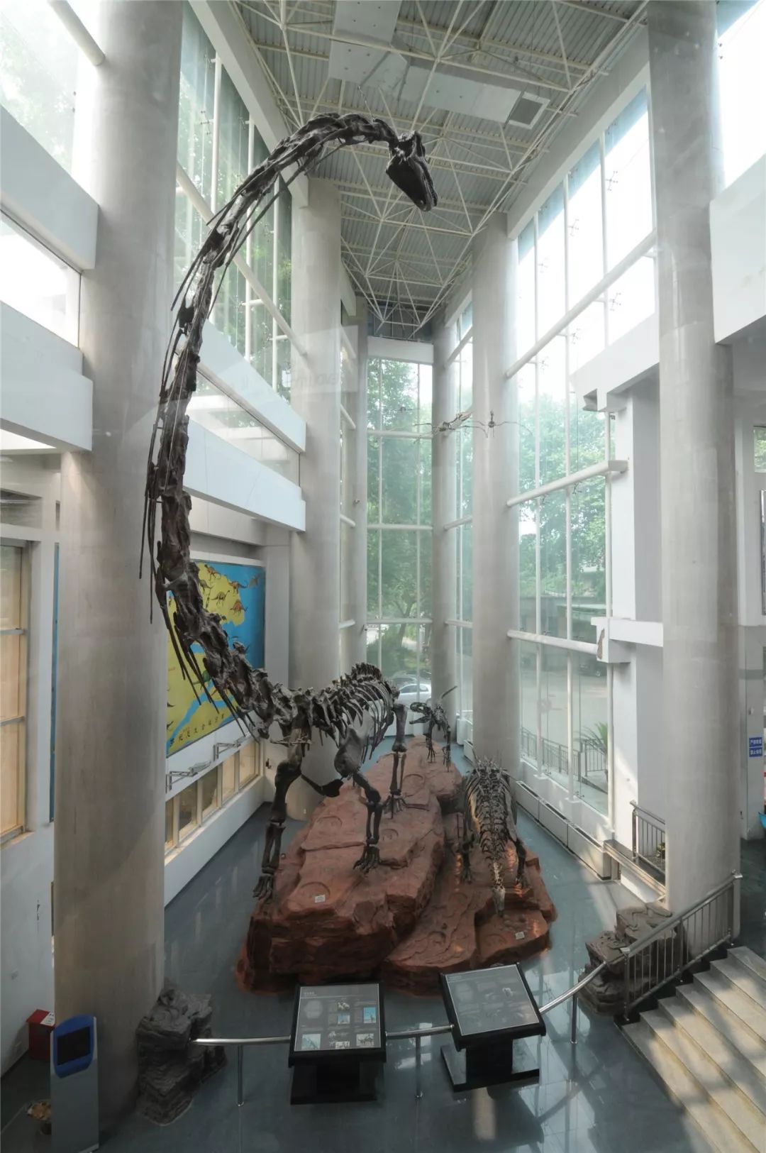 北京东路39号 在鸡鸣寺旁，遇见比千年古寺更古老的古生物